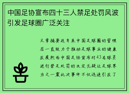 中国足协宣布四十三人禁足处罚风波引发足球圈广泛关注 中国足协宣布四十三人禁足处罚风波引发足球圈广泛关注